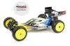 DEX210 2WD Racing Buggy 