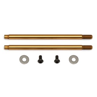 Team Associated 91623 TiN (PR) FOR AS91579 BODY