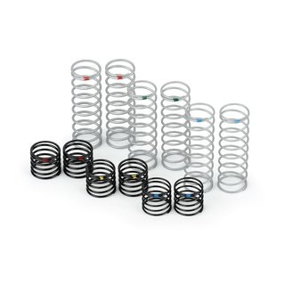 ProLine 6063-04 Feder-Set hinten