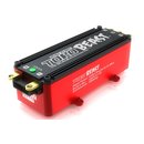 SkyRC SK300047 Toro Beast 200A 4-8s LiPo f�r 1/5...