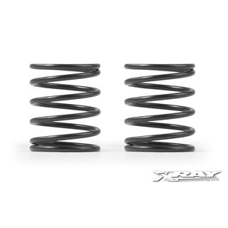 Federn-Satz Ø 2,5mm (2)