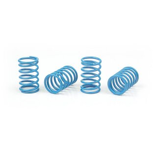 Federn-Satz Ø1,6mm, 20LB (Hellblau)