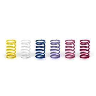 Ultimate Racing Federn, Basisset