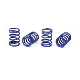 Federn-Satz 1,6mm, 22,5LB, weich-medium (Blau)