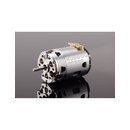 RUDDOG RP540 13.5T 540 Fixed Timing Sensored Brushless Motor