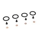 TLR Bleeder Shiock Cap Screws & Washers (4)