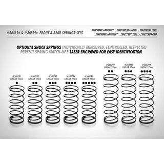 Federn Set vorne L=42mm - 1 Punkt (2)