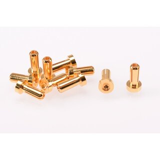 RUDDOG 4mm Gold Plug Male 12mm (10pcs)