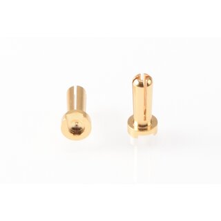 RUDDOG 4mm Gold Plug Male 14mm (2pcs)