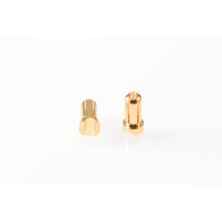 RUDDOG 5mm Gold Plug Male Short (2pcs)