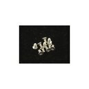 Hiro Seiko Star (T10) Socket Flat Head Screw M3x8 ( 8 pcs)