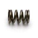 Team Associated 21399 Factory Team Slipper Spring