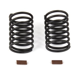 Team Associated 31712 FT Springs, brown, 12.0 lb