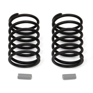 Team Associated FT Gray Springs, 15.0 lb