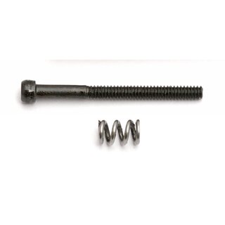 Team Associated Motor Clamp Spring and 4-40 x 1.25 in Screw
