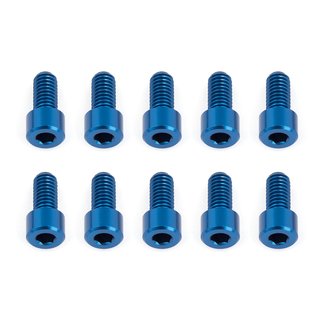 Team Associated 4732 RC12R6 Rear Hub Screws