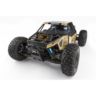 Team Associated 80941 Nomad DB8 Limited Edition RTR