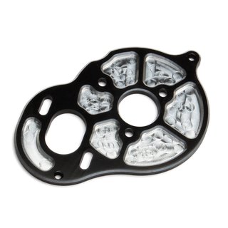 Team Associated 91546 Factory Team Milled Motor Plate, black