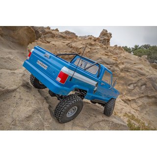 Element RC 40101 Enduro Trailwalker RTR
