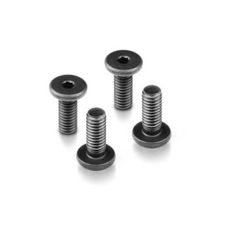 HEX SCREW FLAT HEAD CAP FHS M4x10  (4)