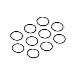 O-Ring 13x1.0 (10)