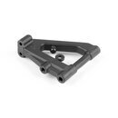 COMPOSITE SUSPENSION ARM FRONT LOWER FOR CARBON EXTENSION -