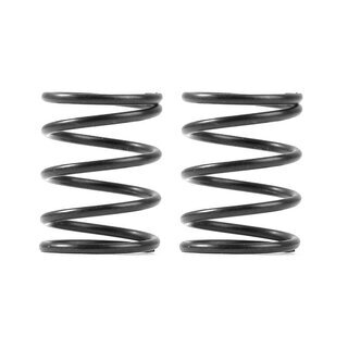 3S federn Set C=4,0 (2)