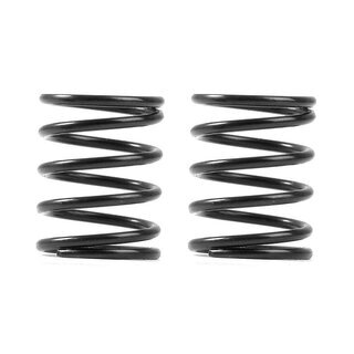 3S federn Set C=4,5 (2)