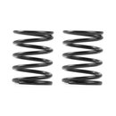 3S federn Set C=4,5 (2)