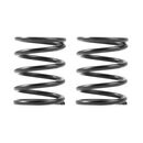 3S federn Set C=5,0 (2)