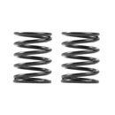 3S federn Set C=5,5 (2)