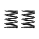 3S Federn Set C=7,0 (2)