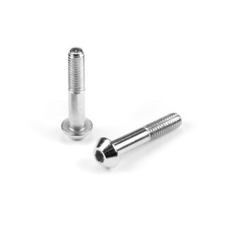 STEEL BRAKE PAD GUIDE PIN SCREW M3x16 (2)
