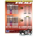 Federnset hinten PROGRESSIVE C=0.5-0.6 (2)