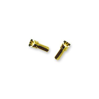 Goldkontaktstecker 3,5mm (2)
