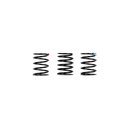 Team Associated RC28R FT Center Spring Set