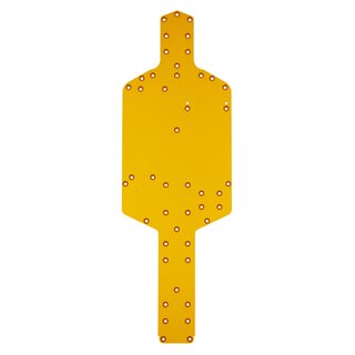 Team Associated 6x6 Chassis, Gold