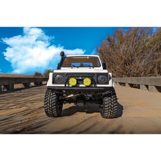 Element RC Enduro Bushido RTR