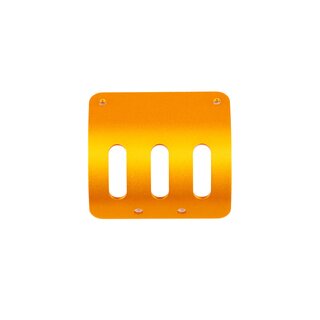 Team Associated RC10 MOTOR GUARD, GOLD