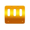 Team Associated RC10 89 Car Motor Guard, Gold