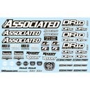 Team Associated DR10 Decal Sheet