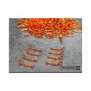 Bittydesign Body Clips Kit�8pcs Orange