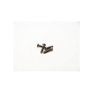 Hiro Seiko Titanium Hex Socket Flat Head Screw M2.5x10mm (4pcs)