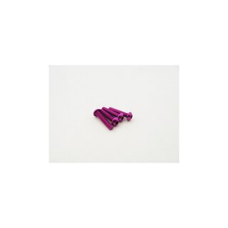Hiro Seiko  Alloy Hex Socket Button Head Screw M3x20  (4pcs | Purple)