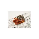 Hiro Seiko X1225 Titan/Alloy Hex Socket Screw Set [Orange]