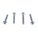 Revolution Design B7 Titanium Upper Shock Mount Screw Set