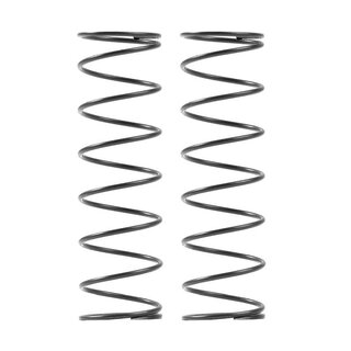 Federn hinten - linear - C=0.45 - 3 Punkte (2)