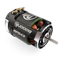 RUDDOG Racing RP543 5.0T 540 Sensored Brushless Motor