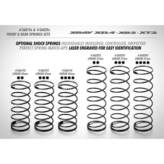 Federn Set hinten L=57mm - 4 Punkt (2)